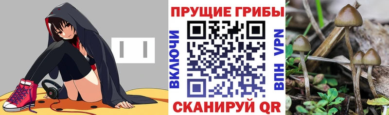 гидра ссылки  Уварово  Галлюциногенные грибы GOLDEN TEACHER  сколько стоит 